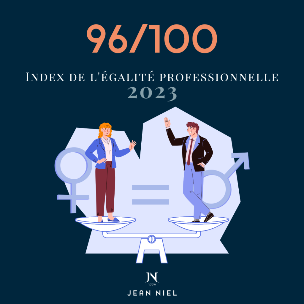 index de l'egalité professionnelle jean niel 96 sur 100