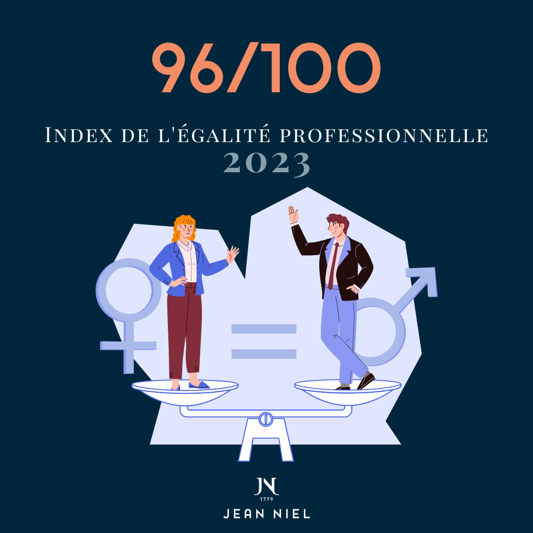 INDEX DE L’ÉGALITÉ PROFESSIONNELLE